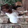 Gavin Jarrett - @gavin.jarrett - TikTok