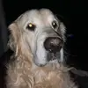 Gavin Jeffries - @gavin.jeffries - TikTok