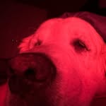 Gavin Jeffries - @gavin_.j06 - Instagram