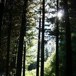 Owen Gavin Jeffries - @jeffriesowen - Instagram
