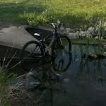 Gavin johns - @gavin.sebike - Instagram