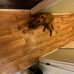Gavin Johns - Facebook