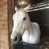 Gavin_Johns. - @gavin_johns3 - TikTok
