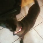 Gavin Jonas - @jonas_gavin - Instagram