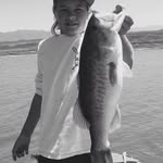 Gavin Kaufman - @gavin_ck - Instagram