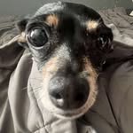 Gavin Kelley - @gavin_k84 - Instagram