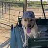 gavinkey_00 - @gavinkey_00 - TikTok