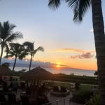 Gavin Khan - @gavin_khan213 - Instagram