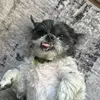 gavin kittel - @.gavin._ - TikTok