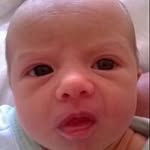 Gavin Knox - @knoxgavin - Instagram