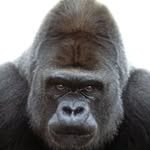 Gavin Lake - @gavin_lake - Instagram