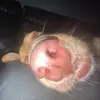 Gavin - @gavin_lambert7 - TikTok