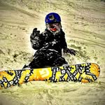 Gavin Lambert - @gavin___lambert - Instagram