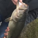 Gavin Lambert - @lambert_0827 - Instagram