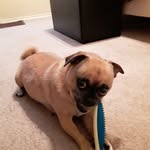 Gavin Lambert - @gavinlambert01 - Instagram