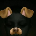 Gavin Lampe - @livefaze707 - Instagram