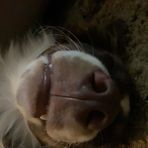 Gavin Langley - Facebook