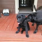 Gavin Lashley - @gavin_lashley28 - Instagram