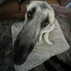 Gavin Olaughlin - @gavinolaughlin - TikTok