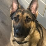 Gavin Lawless - Facebook