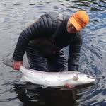Gavin Lees - @gavin.lees.73 - Instagram