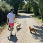 Gavin Maher - @gavin_maher98 - Instagram