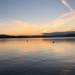 Gavin Nagy - @gavin.nagy04 - Instagram
