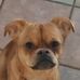 Gavin Neel - Facebook