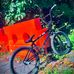 Gavin Neely - Facebook