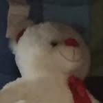 Gavin Newell - @average_gavin - Instagram