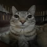 Gavin noah newell - @bbb.vyso - Instagram