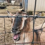 Gavin Nicoll - @get_an2 - Instagram