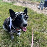 Gavin nielsen - @nielsen_gavin51 - Instagram