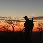 Gavin Nielsen - @gavinnielsen551 - Instagram
