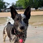 gavin nielsen - @gmony2203 - Instagram