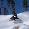 Gavin Nielsen - @gavin.nielsen6 - TikTok
