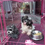 Gavin Ong - Facebook