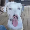 Gavinongfuel _yt - @gavinongfuel_yt - TikTok