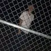 Gavin_ortiz13 - @gavinortiz13 - TikTok