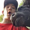 Gavin Osborne - @gavinosborne0 - TikTok