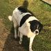 Gavin Parker - Facebook