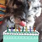 Gavin Parker - @gavin.parker - Instagram