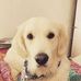 Gavin Parsons - Facebook