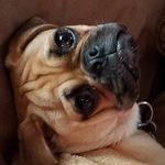 Gavin Parsons - @gavin_parsons208 - Instagram