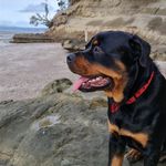Gavin Parsons - @gavin.parsons.100 - Instagram