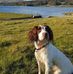 Gavin Paton - Facebook