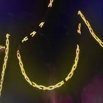 Gavin Perez - @gavin.kuhao - Instagram
