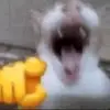 Gavin Peters736 - @gavinpeters736 - TikTok