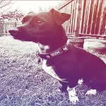 Gavin Peters - @gavgotbbl - Instagram
