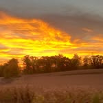 Gavin Peterson - @gavin.peterson013 - Instagram